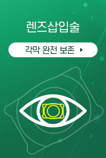 렌즈삽입술